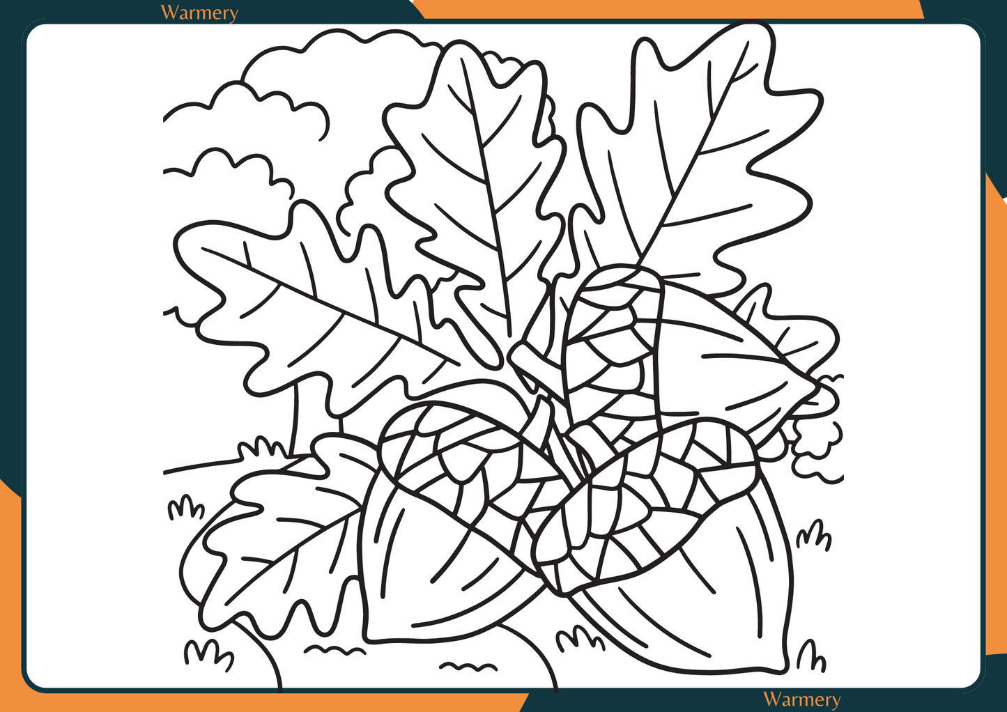 Acorn Colouring Digital Sheet