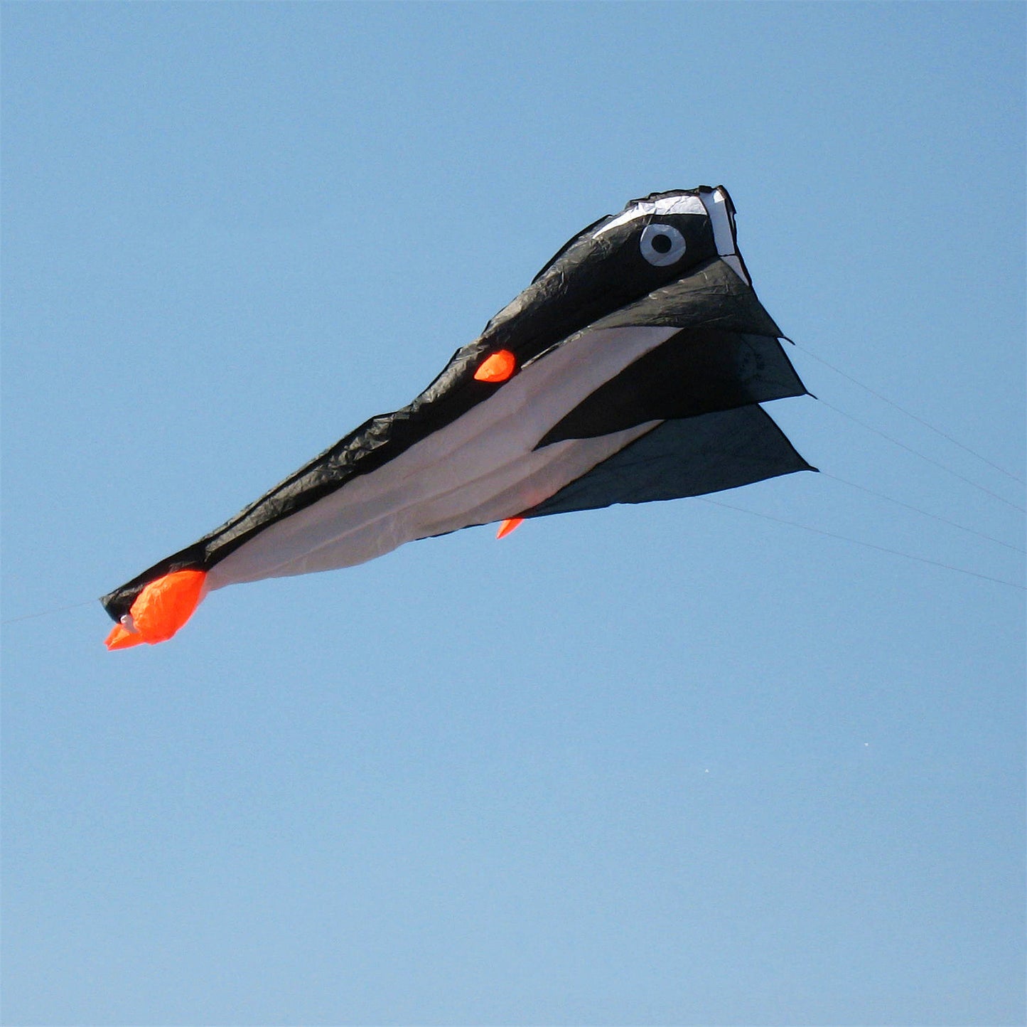 Black and White Dolphin Kite