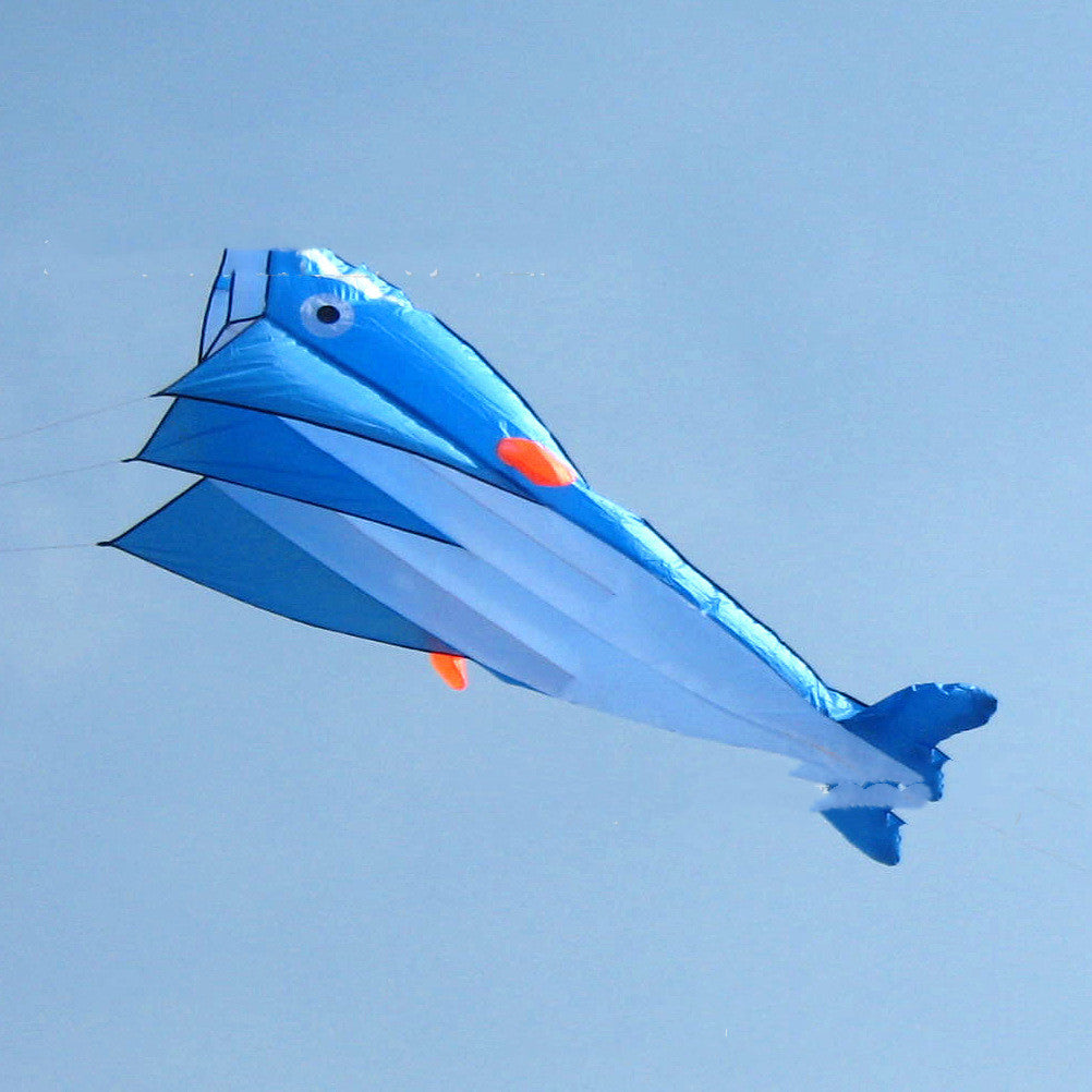 Blue and White Dolphin Kite