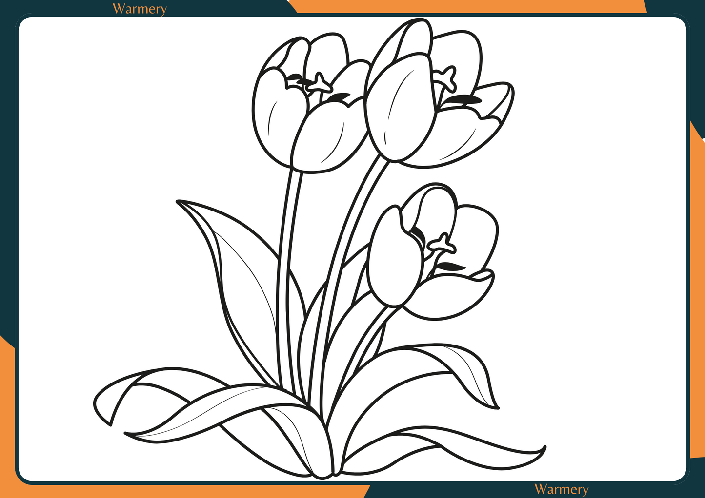 Flowers Digital Colouring Sheets 2