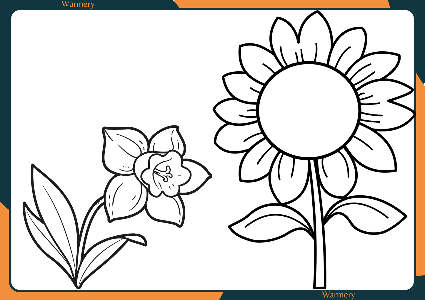 Flowers Digital Colouring Sheets 4
