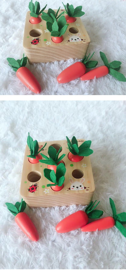 Educational Harvest Carrots toy for Children