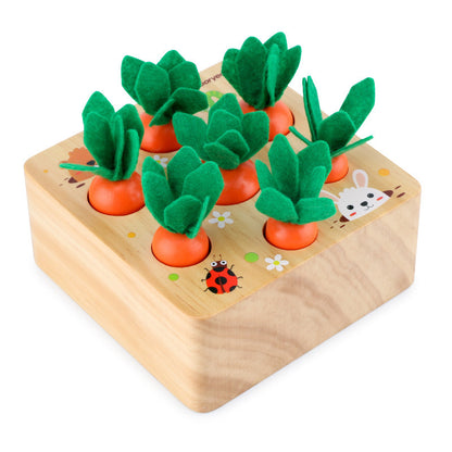 Educational Harvest Carrots toy for Children