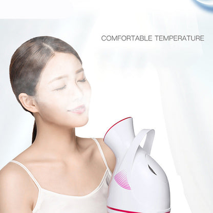 Deep Cleaning Facial Steamer