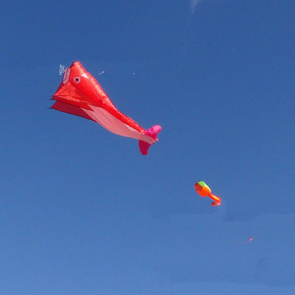 Red Dolphin Kite