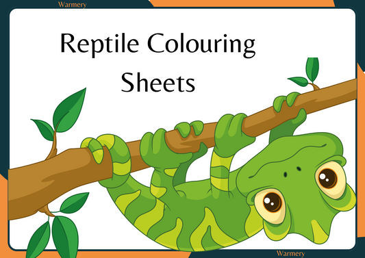 Reptile Digital Colouring Sheets