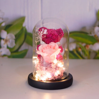 bright pink preserved rose and teddy bear